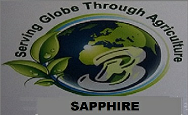 Sapphire Device mark 3643140 Trademark