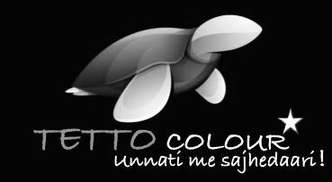 Tetto Colour With Device Device mark 3658525 Trademark