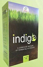 Besst Indigo Device mark 3656138 Trademark