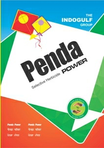 Penda Power Device mark 3610260 Trademark