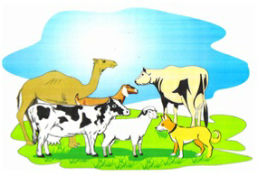 Device Of Group Of Animals Device mark 3645811 Trademark
