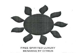 Device Of Sun Device mark 3626930 Trademark