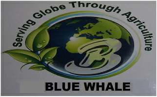 Blue Whale Device mark 3669139 Trademark
