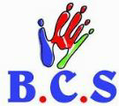 B.c.s Device mark 3678718 Trademark