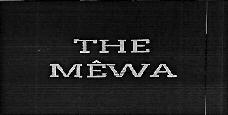 The Mewa Device mark 3637316 Trademark