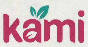 Kami Device mark 3721385 Trademark