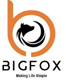 Bigfox Device mark 3714602 Trademark
