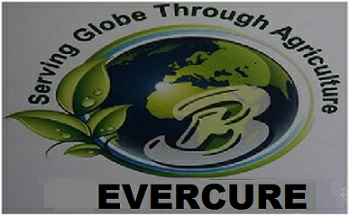 Evercure Device mark 3669140 Trademark