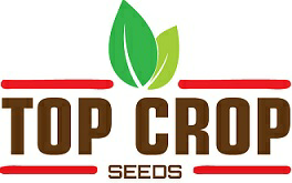 Top Crop Seeds Device mark 3718126 Trademark