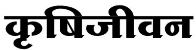 Krishijivan (label) Device mark 3778825 Trademark