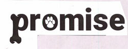 Promise Device mark 3782019 Trademark