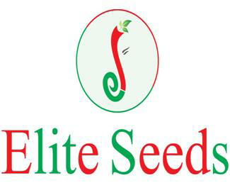 Elite Seeds With Logo Device mark 3787114 Trademark