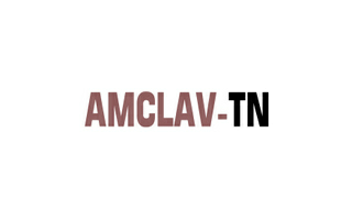 Amclav-tn Device mark 3782523 Trademark