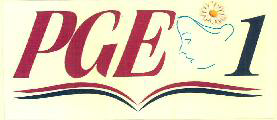Pge 1 Device mark 3781881 Trademark