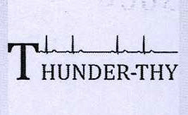 Thunder-thy Device mark 3795329 Trademark