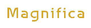 Magnifica Device mark 3796226 Trademark