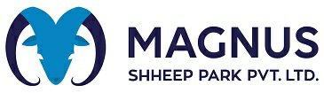 Magnus Shheep Park Pvt. Ltd. Device mark 3803605 Trademark