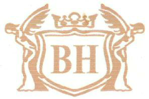Bh Device mark 3797223 Trademark