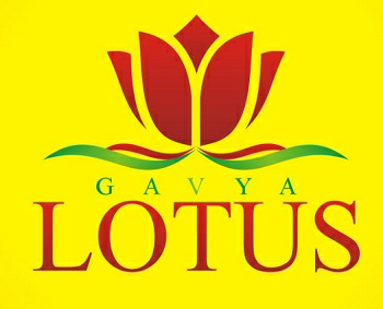 Gavyalotus Device mark 3797624 Trademark