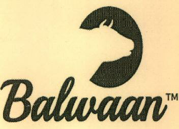 Balwaan Device mark 3804924 Trademark