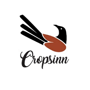 Cropsinn Device mark 3806156 Trademark