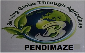 Pendimaze Device mark 3809124 Trademark