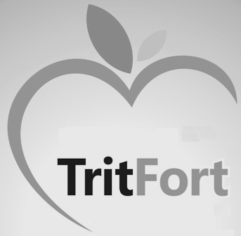 Tritfort With Logo Device mark 3813741 Trademark