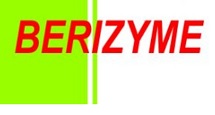 Berizyme Device mark 3814249 Trademark