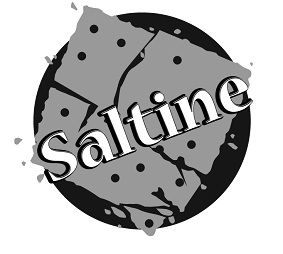 Saltine Device mark 3817163 Trademark