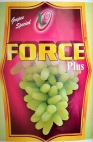Force Plus Device mark 3815435 Trademark