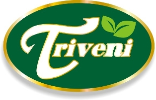 Triveni Device mark 3819064 Trademark