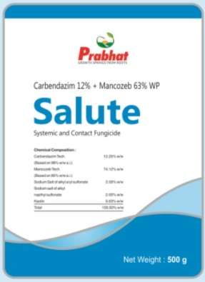 Salute Device mark 3827596 Trademark