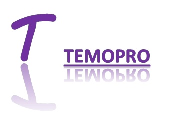 Temopro Device mark 3828604 Trademark