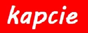 Kapcie Device mark 3843470 Trademark