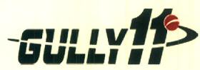 Gully11 Device mark 3835507 Trademark