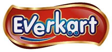 Everkart Device mark 3842529 Trademark