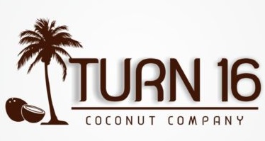Turn 16 Device mark 3846051 Trademark