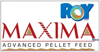 Roy Maxima Neo (label) Device mark 3839215 Trademark