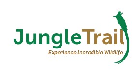 Jungletrail (label) Device mark 3866636 Trademark