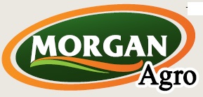 Morgan Agro Device mark 3858655 Trademark