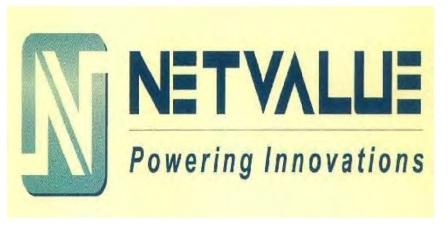 Netvalue Device mark 3871030 Trademark