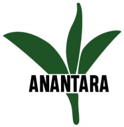 Anantara Device mark 3859596 Trademark