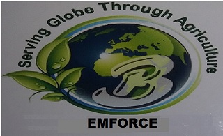 Emforce Device mark 3874002 Trademark