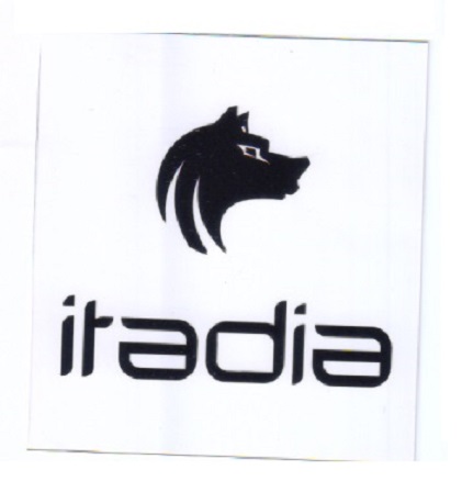 Itadia Device mark 3891971 Trademark