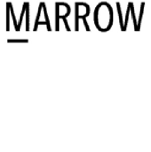 Marrow (device) Device mark 3874639 Trademark