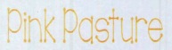 Pink Pasture Device mark 3892883 Trademark