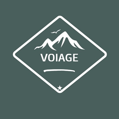 Voiage Device mark 3876546 Trademark