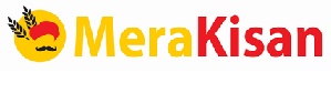 Merakisan & Logo Device mark 3877368 Trademark