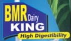 Bmr Dairy King Device mark 3896175 Trademark