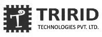 Tririd Device mark 3878999 Trademark